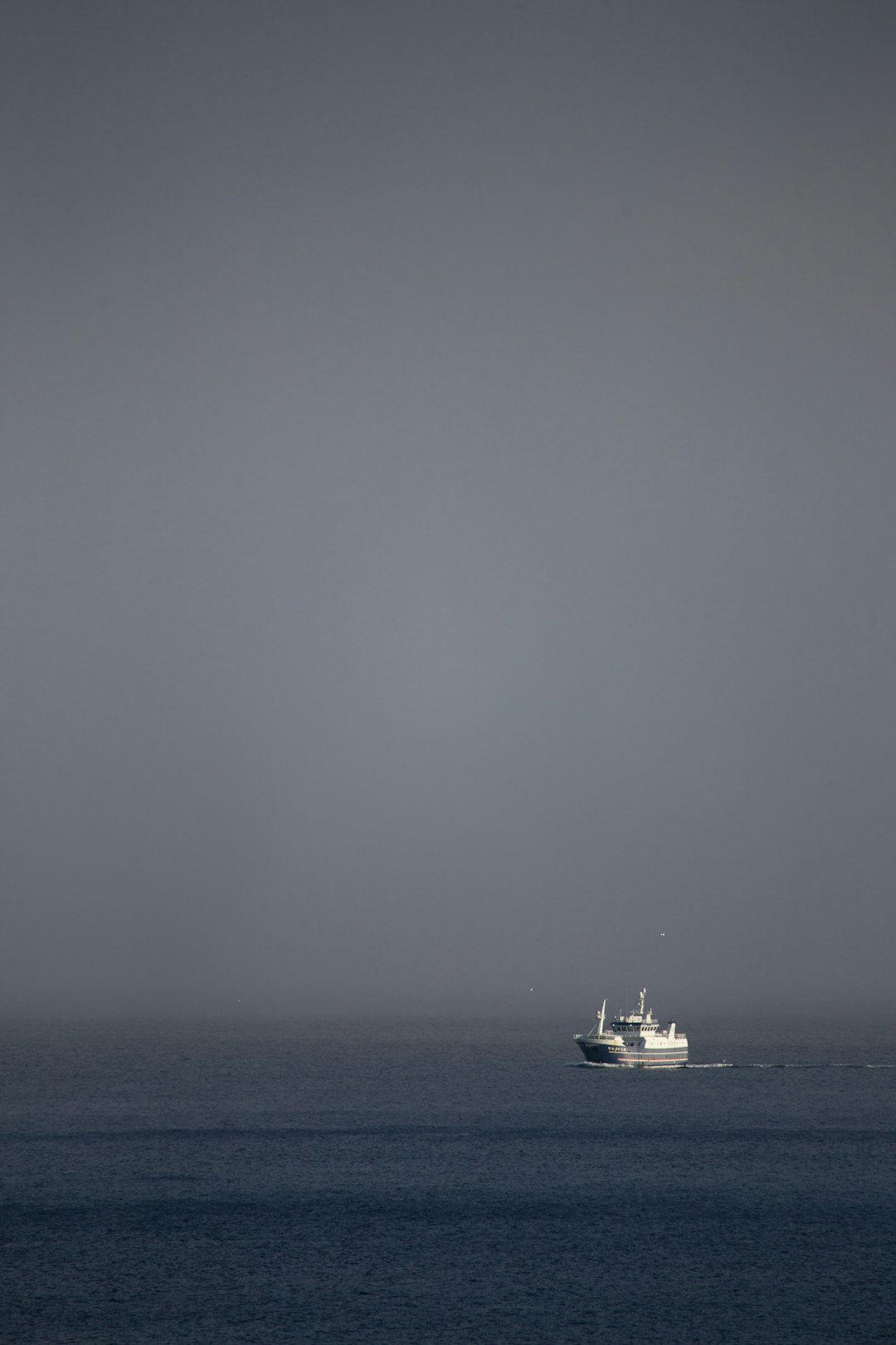 バイオ酵素 トイレクリーナー